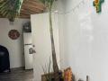 IMG-20231222-WA0031