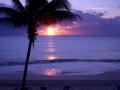 sunrise_20in_20playa.jpg.opt598x425o0_2C0s598x425