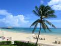view_from_balcony_5B1_5D.JPG.opt594x446o0_2C0s594x446